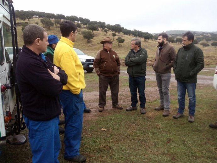 Ortega (3d) visita trabajos para mejorar el hábitat para el lince y el conejo.