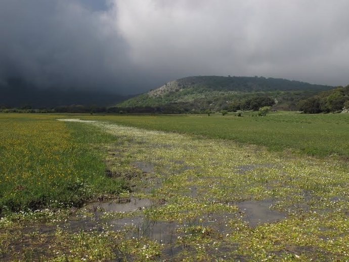 Polje de la Nava de Cabra