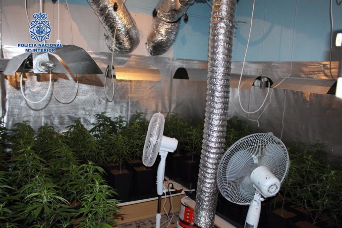 Nota De Prensa Y Dos Fotos Desmantelado Un Invernadero Laboratorio De Marihuana 