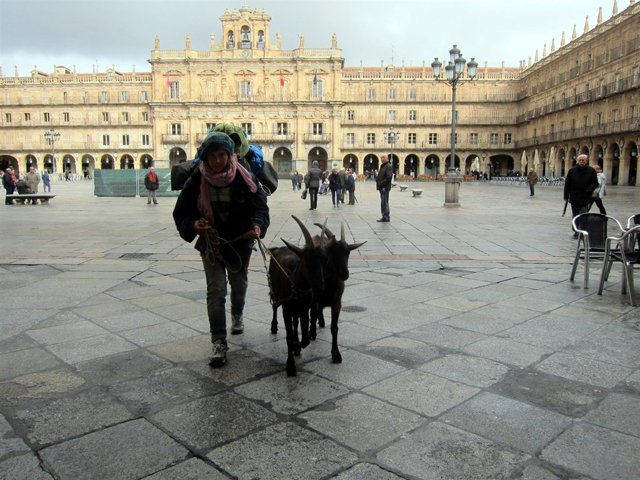 Joven francesa con dos cabras en la Plaza Mayor de Salamanca