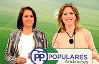 PP-A pide 110 millones en 2017 para paliar los "recortes sanitarios" de Susana Díaz