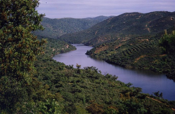 Rio Guadalquivir