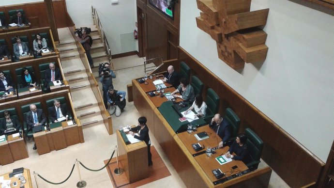 Maddalen Iriarte en el Parlamento vasco