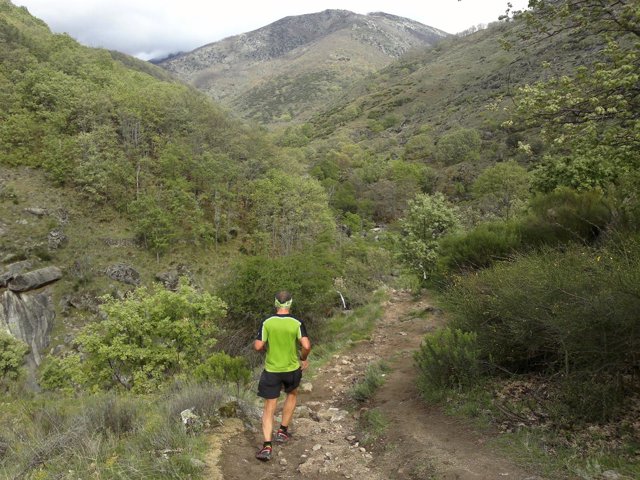 Carrera montaña