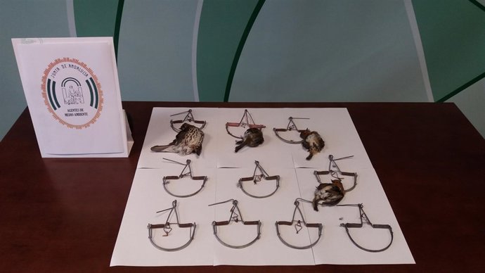 Decomiso de perchas para la caza ilegal