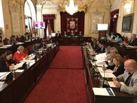 Los "falsos autónomos", el saneamiento y el plan turístico, a debate en el pleno de Málaga