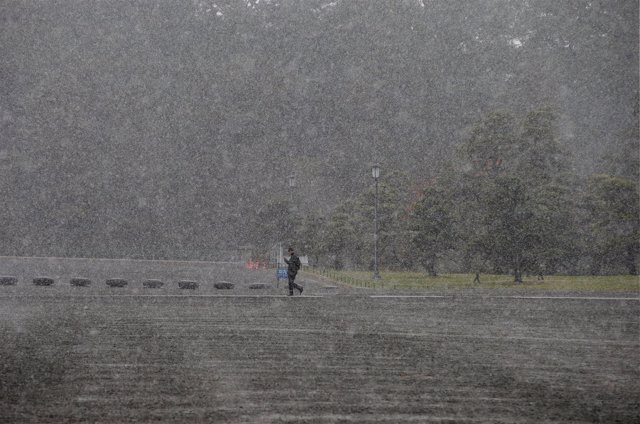 Primera nevada en noviembre en Tokio desde hace 54 años