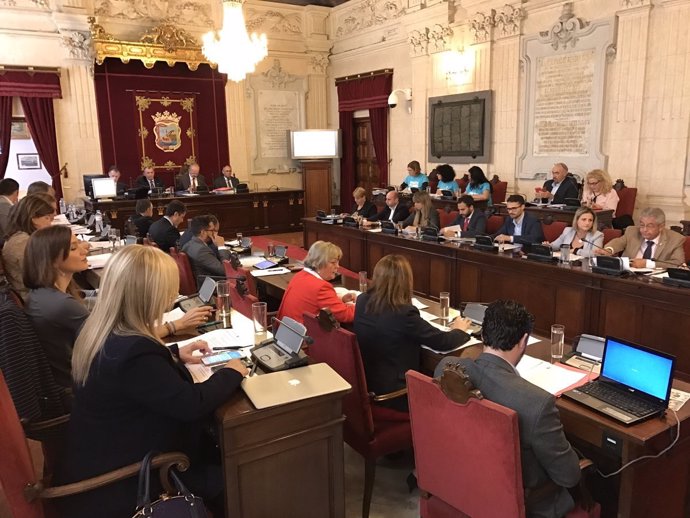 Pleno del Ayuntamiento de Málaga sesión de octubre 2016