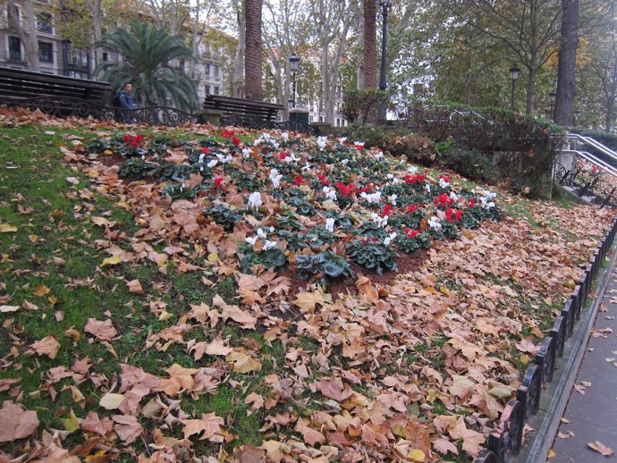 Otoño en Euskadi (Bilbao)