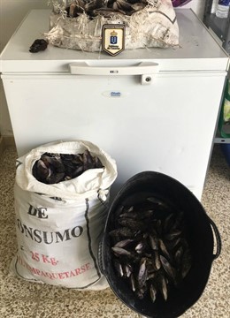 NOTA DE PRENSA Incautados 54 Kilos De Mejillones En Fuerteventura Procedentes De