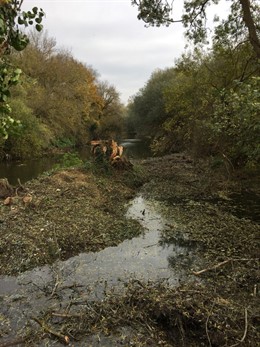 Río Zadorra a su paso por Margarita