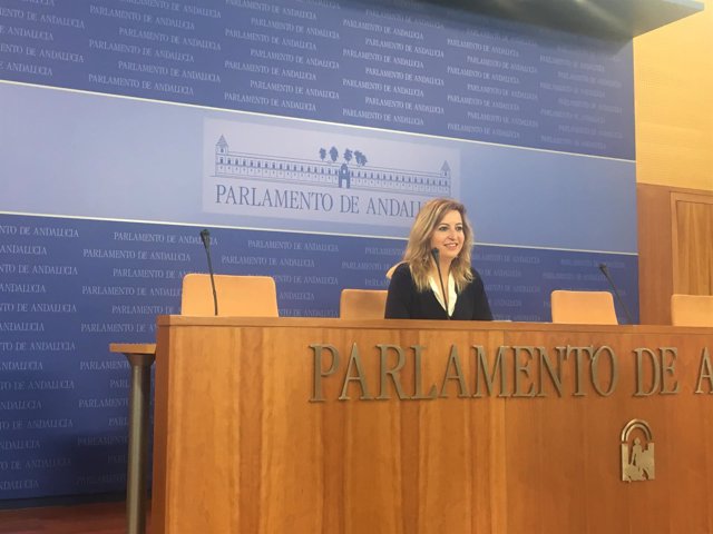 La presidenta del grupo parlamentario de Podemos Andalucía, Carmen Lizárraga