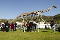 Un total de 19.000 personas han visitado la exposición 'Colosos Jurásicos' en el Paraninfo de la UPV/EHU en Bilbao