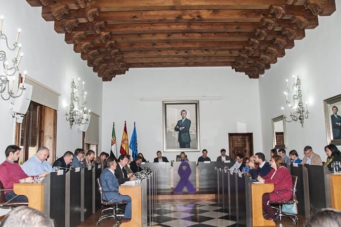 Pleno de la Diputación de Cáceres 