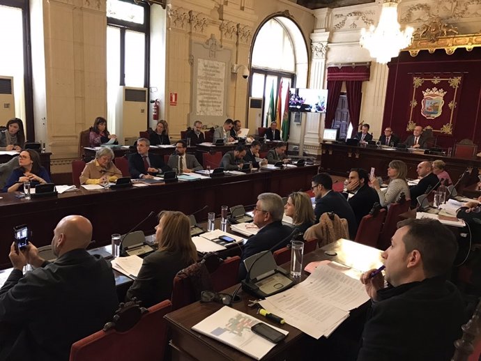 Pleno de Málaga. Noviembre 2016 