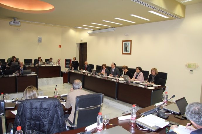 El consejo de gobierno de la UCO durante la sesión de noviembre
