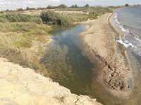 ANSE presenta este lunes un estudio sobre el estado de los fondos marinos del Mar Menor