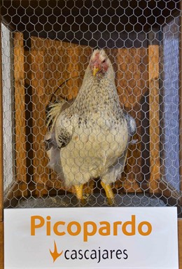 Uno de los capones subastados en 2015