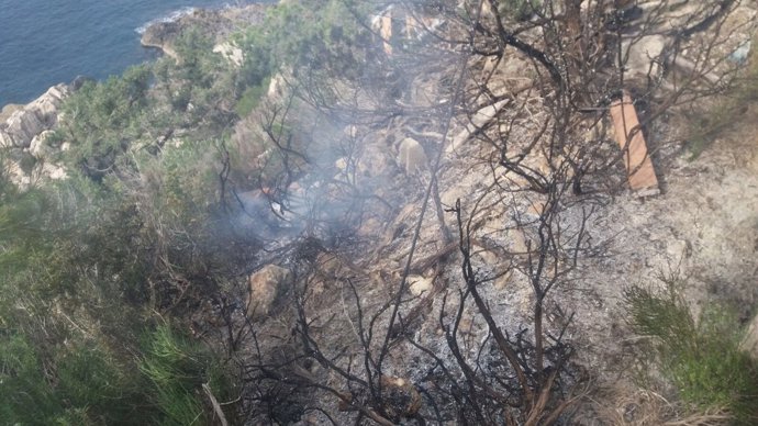 Incendio forestal en Torre de Portinatx (Ibiza)