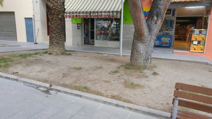 PSOE reclama mejoras en jardines junto con la asociación Europa de Jaén