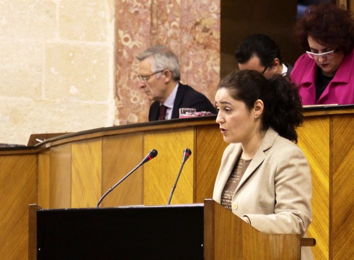 La parlamentaria andaluza de IU Inmaculada Nieto