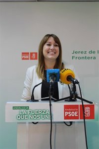 PSOE-A destaca que la Ley andaluza para personas con discapacidad avanza en la inclusión