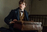Animales Fantásticos: ¿Aparece Newt Scamander en las películas de Harry Potter?