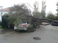 Ascienden a 65 las actuaciones de bomberos en la provincia de Cádiz a causa de la lluvia