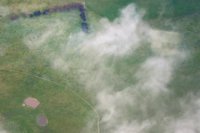 Mueren seis personas en Australia por 'asma de las tormentas eléctricas'