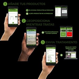 El servicio se presenta mañana