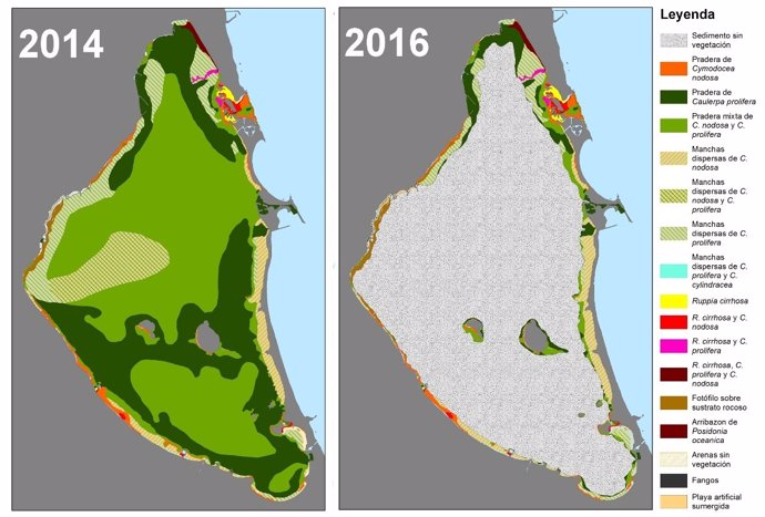 Mapa del antes y el después de la distribución de las praderas marinas