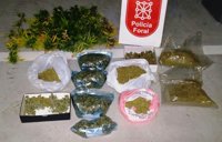 Detenidos en Irurita (Baztan) dos varones por tráfico de drogas