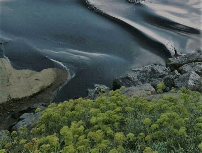 Vertido de crudo en playa del Rinconcillo en Algeciras