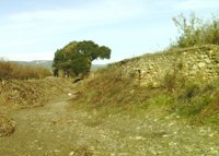 La Agencia Catalana del Agua adecua el cauce de un barranco en la cuenca del río Francolí