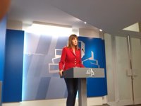 Mendia cree que en dos años puede estar la propuesta articulada de nuevo Estatuto y habrá otros dos para debatirla