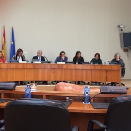 Constitución de las comisiones