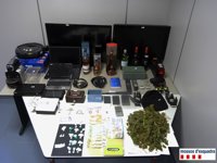 Detenido un vecino de Oliana (Lleida) por tráfico de drogas y tres robos