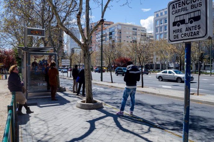 Parada de autobus, autobuses, carril bus, calle, transporte público