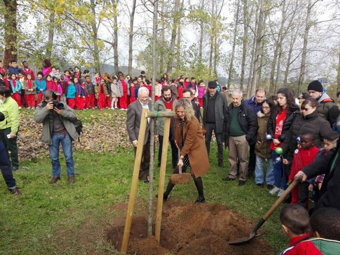 Torrelavega Solidaria 