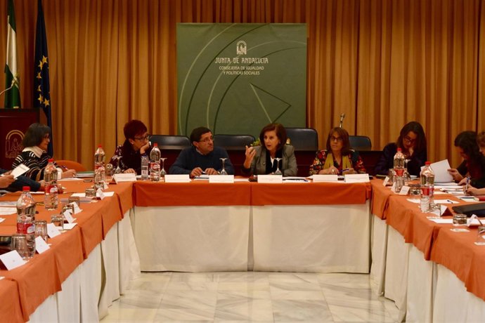 La consejera, María José Sánchez Rubio, preside el Pleno de la Alianza