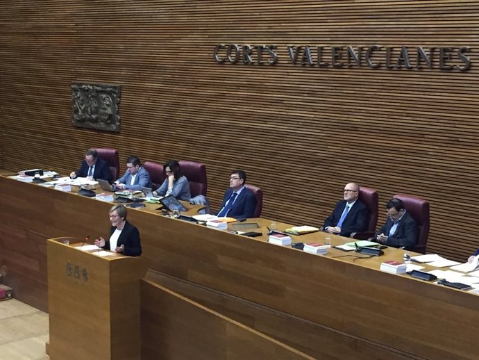 La consellera María José Salvador en la tribuna