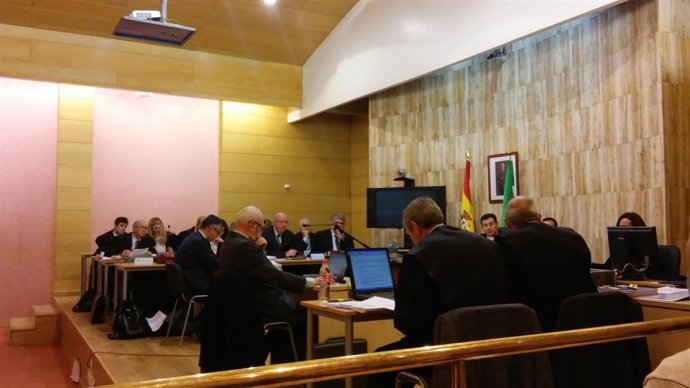 Peritos contraponen sus informes en el juicio del Caso Alhambra