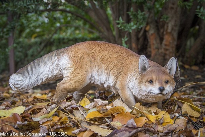 El MNCN y el Jardín Botánico lanzan la primera fase de la exposición 'Mutuamente