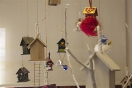 Nidos del espacio donde se desarrollará la actividad.