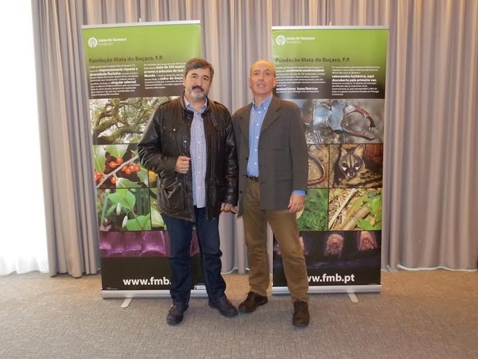 Bosques de Cantabria 