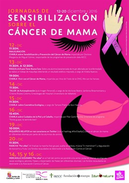 Programa de actividades del IES Ramón y Cajal. 