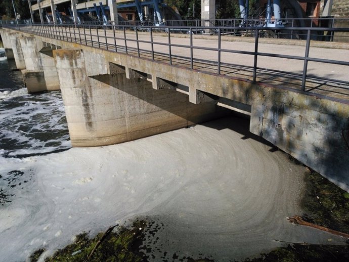 Espuma en el río Jarama