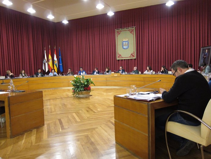 Pleno Ayuntamiento de Logroño