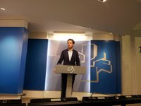 PP vasco no aclara si participará en las ponencias autogobierno y convivencia del Parlamento vasco