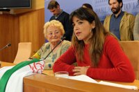 Podemos pide reconocer el 4D como día histórico "del derecho de Andalucía al autogobierno"